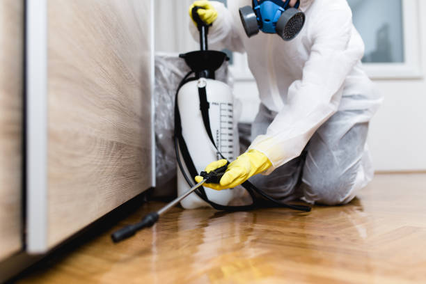 Best Wasp Removal Services  in Vernal, UT