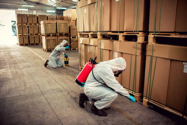 Best Affordable Pest Control Services  in Vernal, UT