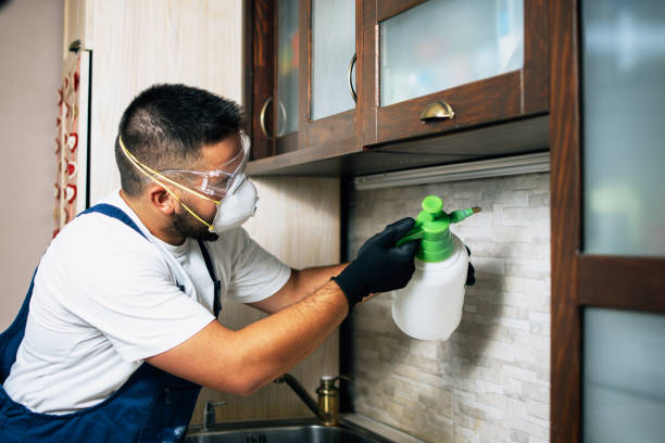 Best Wildlife Control Services  in Vernal, UT
