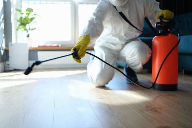 Best Pest Removal Services  in Vernal, UT