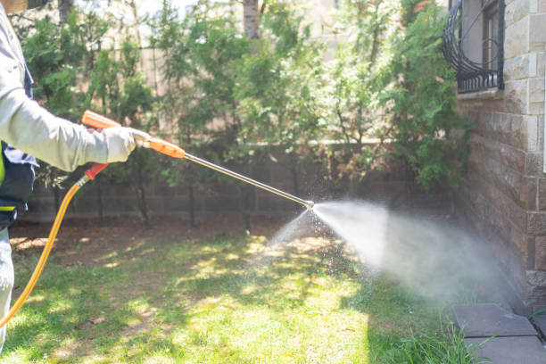Best Affordable Pest Control Services  in Vernal, UT