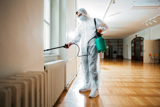 Best Insect Control  in Vernal, UT