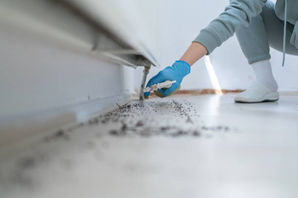 Best Bed Bug Extermination  in Vernal, UT